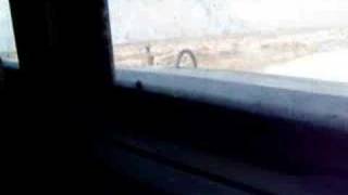 donkey chase iraq