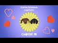 Starbox Dachshunds Compilation Chapter 191