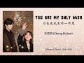 你是我此生唯一所愿 (You Are My Only Wish) - 张碧晨 (Zhang Bichen) - [偷偷藏不住 Hidden Love OST]