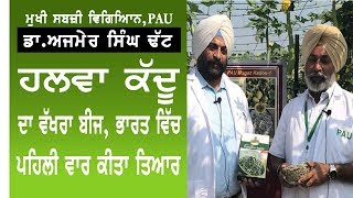 First Variety of Pumpkin Seed Launched by PAU, Ludhiana. Dr. Ajmer Singh Dhatt \u0026 Dr. Ramandeep Singh