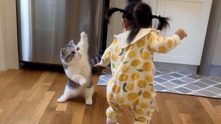 The Most dramatic cats moments ever! 😂Funniest Cat Videos🤣