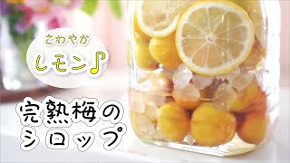 完熟梅のシロップづくり/レモンとリンゴ酢入り/甘さだけでなく爽やかな味にしたいときにおススメ