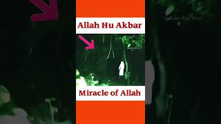 Miracle of Allah☝😰😱||#yaAllah #islam #short #short