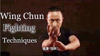 Wing Chun techniques martial arts instructions from Master Tu Tengyao