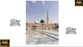 Falak Ke Nazaro Naat Status || Eid Milad Un Nabi ﷺ Special WhatsApp Status || Rabiul Awwal Status