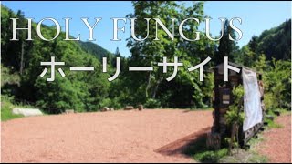 2024年5月オープン！岐阜県郡上市のキャンプ場「HOLY FUNGUS」★ホーリーサイトのご紹介★