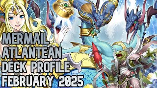 (UPDATE) Yu-Gi-Oh! *MERMAIL ATLANTEAN* Deck Profile (February 2025)