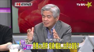 麗文正經話_20140416_207-4(TVBS DMDD)