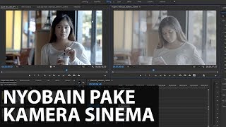 Review Kamera Kelas Sinema, MANTAP BROOH!! | Canon EOS C200 Indonesia