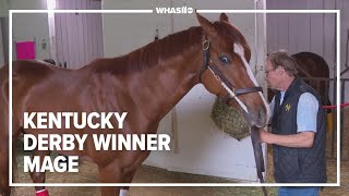 RAW: Mage takes a stroll on Churchill Downs' backside after Kentucky Derby win