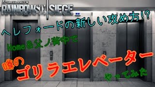 【休憩動画】 ヘレフォードの新しい攻め方？噂のゴリラエレベーターやってみた【Ｒ6Ｓ】