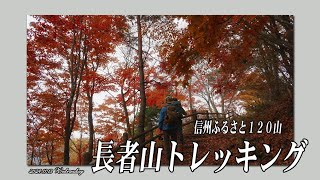 長者山・紅葉狩りトレッキングＶＩＤＥＯ（信州ふるさと１２０山・2024-11-13 WED）