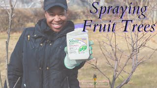 Winter Care for Fruit Trees with Bonide 🍑 Broadway Gardener