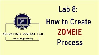 Zombie Process Program in Linux