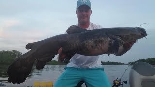 Flathead Catfish On the Wisconsin River 2018