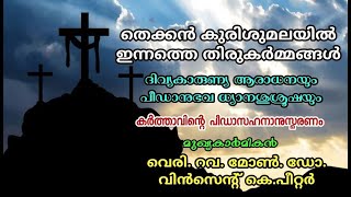 LIVE - തെക്കൻ കുരിശുമലയിൽ // ദുഃഖവെള്ളി തിരുകർമ്മങ്ങൾ   //  29 - 03 - 2024