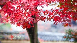 禪院鐘聲, 古琴曲 Buddhist temple bell