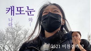 🇨🇦 맨날 먹고 노는게 유학생이지 뭐.. /MBTI 어떻게 부르시나요? 엣프제? 에스프즈? /토론토 브이로그