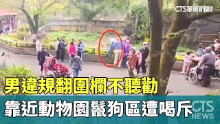 男違規翻圍欄不聽勸　靠近動物園鬣狗區遭喝斥｜華視新聞 20250126