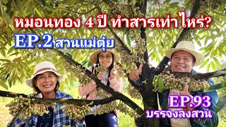 #กวินบินได้ EP.216 เอาลูกปีแรก หมอนทอง 4 ปี ทำสารเท่าไหร่ สวนแม่ตุ๋ย EP.2 #บรรจงลงสวน EP.93