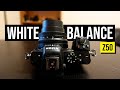 How to set Custom White Balance on your Nikon Z50 (Auto White Balance TUTORIAL)