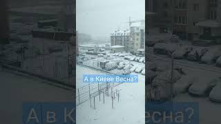А в Киеве сегодня почти Весна? Сильный ветер и снегопад в столице Украины - Столичные Новости.