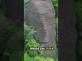 stairs to heaven in pojun village 🏔️ shorts engineering explore