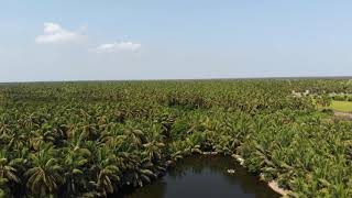 Beautiful villages from india | cinematic video | indukurpet | #nellore #villagesofindia