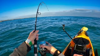 Hunting monsters at the Taranaki Kayak Classic 2024