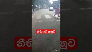 නීතියට අනුව 🙏♥️#shortvideos #subscribe #trending #viral #subscribe #trending #shortsyoutube