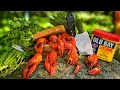 River FISHING Salmon & CRAWDAD Sandwich Catch & Cook!