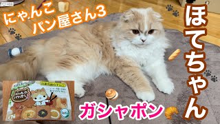 【ガシャポン】にゃんこパン屋さん3🐾ガチャガチャ（スコティッシュフォールド）ほてちゃん