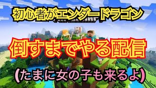 【Minecraft】エンダードラゴン倒すための準備　ハード