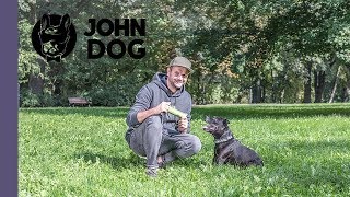 Szukanie zaginionych przedmiotów - TRENING PSA - John Dog