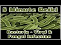 Reiki For Bacteria - Viral  & Fungal Infection / 5 Min Session /  Healing Hands Series