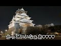 大阪城公園 夜桜を見ながら散歩♪ osaka castle park