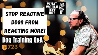 Dog Training Q&A - Stop Reactive Dogs from Reacting - What Would Jeff Do? Ep.723 (2020)
