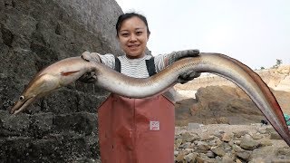 小章赶海收获巅峰，一路的野生大货还遇到超大海鳗，吓得小章都不敢拿！【赶海小章】