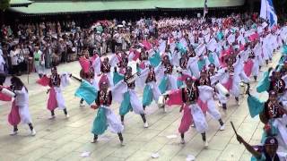 「甲斐◇風林火山」　原宿スーパーよさこい2013　明治神宮　奉納演舞　2013年8月24日