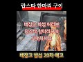 배정고 제20차 밥심 예고_랍스타 한마리 구이