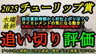 【最終追い切り評価】2025チューリップ賞！マイエレメントの最終追い切りは気になる動きに！？前哨戦から仕上げているのは？