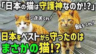 【海外の反応】「日本の猫は守り神ってホント！？」世界的に大流行したペストから日本を守ったのはまさかの猫！？女教授の話に皆が騒然→世界を救った日本の新紙幣に描かれた偉人の偉業に外国人大学生が衝撃！