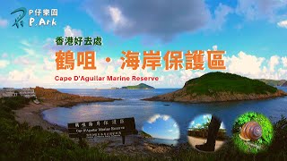 香港好去處 | 鶴咀．海岸保護區 | Cape D'Aguilar Marine Reserve | 中英字幕 | P.Ark | P仔樂園 (2019)