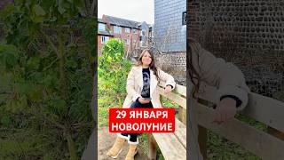 29 Января - Новолуние в Козероге #астрология #новолуние #эзотерика