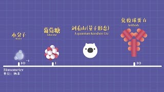 如果人缩小成量子尺寸会怎样？| 好奇的北极狐