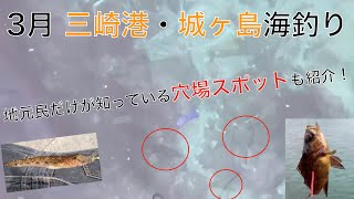 【三崎港・城ヶ島釣り】海釣り10時間！三浦で釣れた魚とは！？2020/03