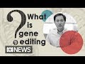 Why gene editing is so controversial | The World
