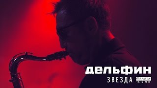 Дельфин | Dolphin  - Звезда (Акустика live)