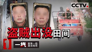 《一线》警察都“无语”了 男子连续偷盗439台变压器 被抓还扮无辜 20210303 | CCTV社会与法