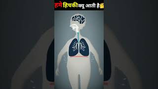 हमे हिचकी क्यू आती हैं 🤔||99.99%लोगो को नही पता है😱|| #shorts #viral #facts #trending #biology #fact